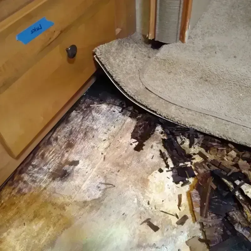 Wood Floor Water Damage in Kenneth City, FL